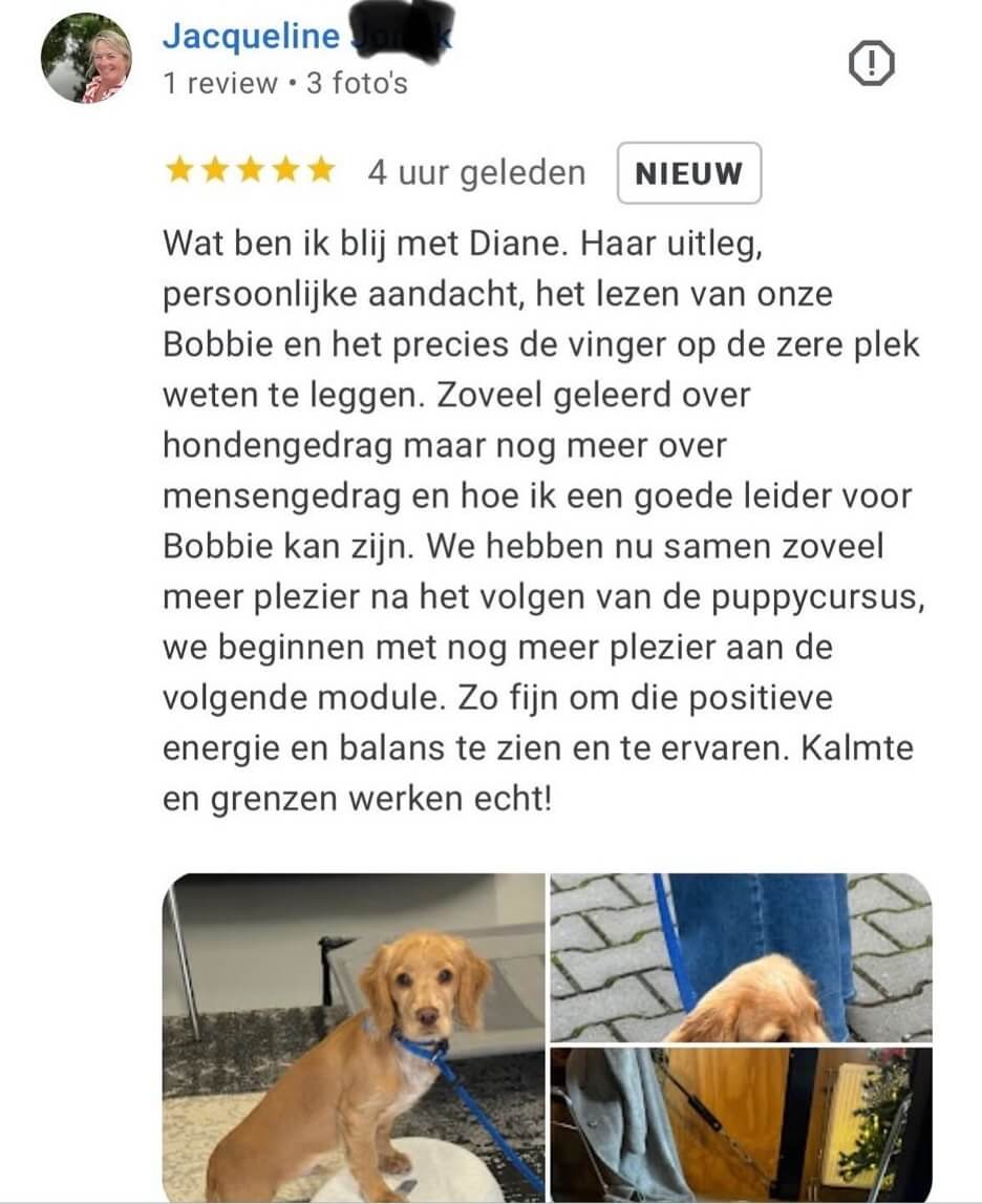 review-trainingsschool-aw (1)