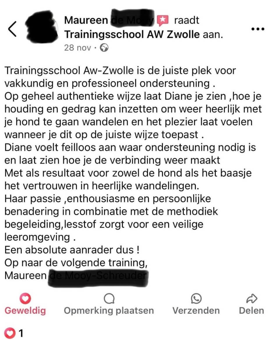 review-trainingsschool-aw-2 (1)